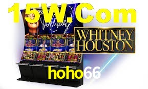 Live Casino hoho66